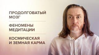 ПРОДОЛГОВАТЫЙ МОЗГ И ФЕНОМЕНЫ МЕДИТАЦИИ. Уровень Будды. Космическая и земная карма #крийя #shorts