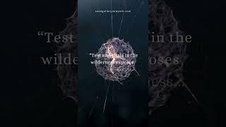 Tests, Trials & Hidden Weaknesses | Seed Gallery #tests #trials #art #artist #wisdom #destiny #short