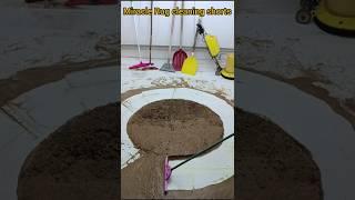 The best way to clean a dirty rug, relaxing and engaging ASMR