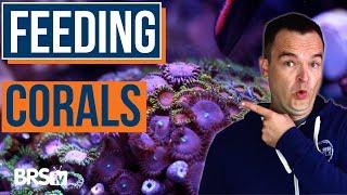 Increase Coral Color & Growth With Feeding? EP: 46