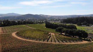 STELLENBOSCH UNIVERSITY & VINPRO LAUNCH WORLD-CLASS PLATFORM FOR VINEYARD TRAINING & RESEARCH