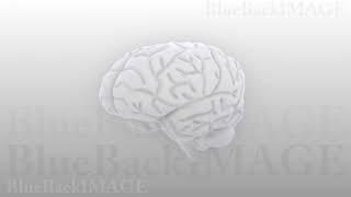 Brain anatomy human body idea mind concept mental Brain 2 A1S HD