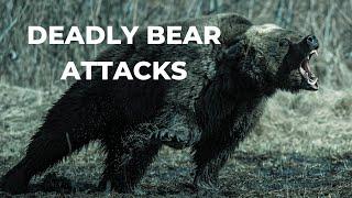 Deadly Bear Attacks in the Smoky Mountains