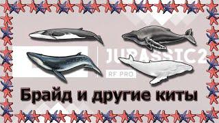 Русская Рыбалка 3.99 Ловим звезды с кашалотами