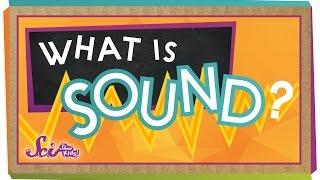 What is Sound? | Physics for Kids | SciShow Kids