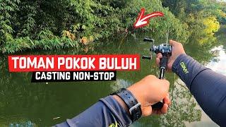 NON-STOP CASTING IKAN TOMAN