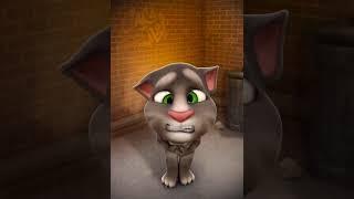 Talking Tom Slapping (New Version)