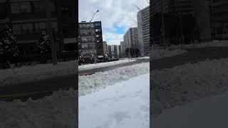 #snow #torontotravelguide #canadiancitytravel #torontotourism #winter #torontotour #torontotravel