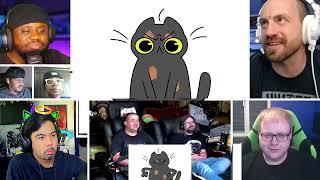 I got a cat. [REACTION MASH-UP]#2364