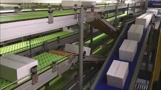 Palletizing | Automatic Box Palletizer VHV by Verbruggen | High speed stacking of boxes