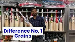 Difference Between English Willow and Kashmir Willow Cricket Bats - Explained in Detail