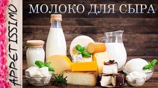 МОЛОКО ДЛЯ СЫРА. Как выбрать, где купить, как хранить? Как снять сливки?  Сыр в домашних условиях