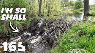 I Still Wonder How We Did This Job - Manual Beaver Dam Removal No.165