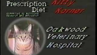 Theresa Chaze Video Resume