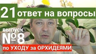 ОРХИДЕЯ в домашних условиях, МИНЕРАЛЬНАЯ ВОДА для орхидей и из АКВАРИУМА