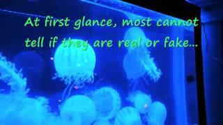 Artificial Glowing Jellyfish Desktop Aquarium LED [www.waterfallnow.com/jellyfish]