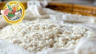 How to multiply your purchased Koji-Starter? - Fermenting with Aspergillus Oryzae [ENG/SUB]