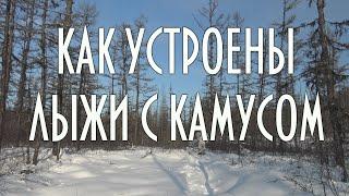 Как устроены охотничьи лыжи с камусом, крупный план, лыжи Поскрякова