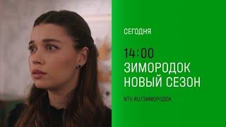 Анонс, Зимородок, 2 сезон, новые серии, премьера сегодня в 14:00 на НТВ, 2024