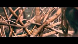 Evil Dead (2013) - Tree Rape scene