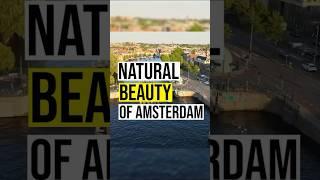 Amsterdam’s Wonders: Must-See Natural Beauty Spots!