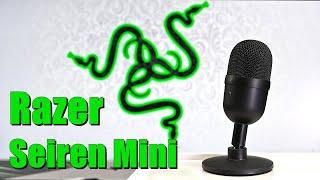 Kleines Mikro mit überraschend großem Klang | Razer Seiren Mini Review