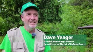Bluebird Monitoring with DuPage Forest Preserve Volunteer David Yeager (Part 1/4)