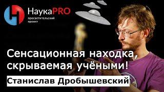 Сенсационная находка, скрываемая учёными! – признаётся антрополог Станислав Дробышевский | Научпоп