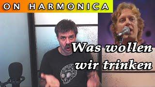 Was wollen wir trinken on the harmonica (Boots' cover)