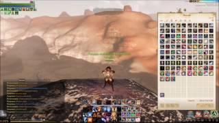 ArcheAge 3.0 Левитирующий ларец (х60). Проверка удачи.