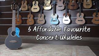 5 x Affordable Favourite Concert Ukuleles