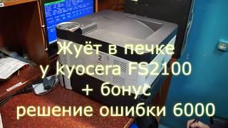 Жуёт бумагу в печке у kyocera 2100DN и ошибка 6000