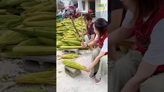 What do Chinese people use loofah fibers for? #loofah #shorts