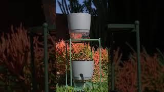 Self Watering Planter Set  Available online at www.heartdeco.co.za