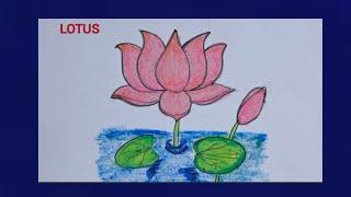 How to draw a lotus easily / lotus diagram