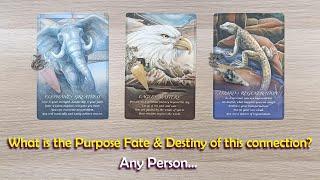 What is the fate purpose & destiny of this connection... any personextremely acurate information