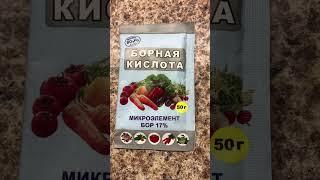 Многолетники в Светофоре! Краткий обзор садовых новинок.