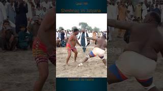 Sheeda Sheshnaag Kabaddi #youtubeshorts #shorts #kabaddi