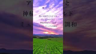 癒しの動画 ーNATURE YOGAー #空 #bgm