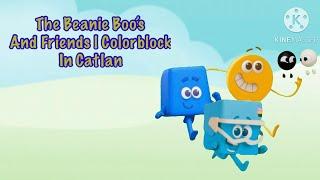 Beanie Boos And Freinds Colourblocks in catlan