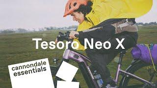 An Electric Bike That Does It All, the Cannondale Tesoro Neo X | Cannondale Essentials