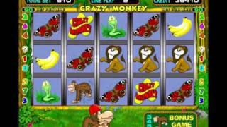 CRAZY MONKEY - GAME FOR PC - FULL DOWNLOAD