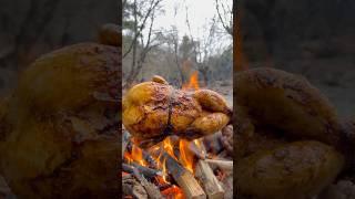 Roasted Whole Chicken in Nature 