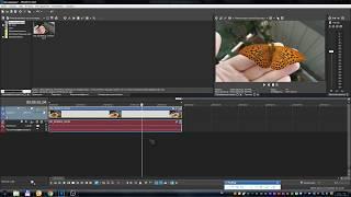 Sony Vegas Pro - что делать если блекнет, светлеет или темнеет цвет после рендеринга