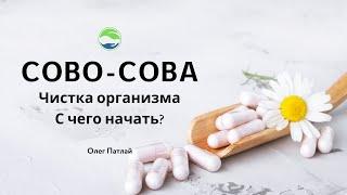 Очищение организма и восстановление его работоспособности | Компания Сово Сова