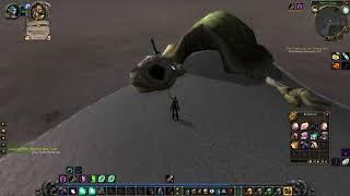 Beached Sea Turtle - World of Warcraft Classic Quest #2