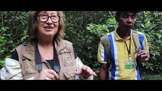 Virtual trip through Madagascar 5 - a visit to Ranomafana National Park