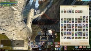 Archeage 3.0 Ромашка тест замер сбора молока.