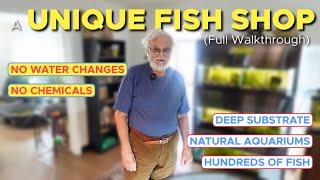 A Fish Store of Natural Aquariums #AQUARIUM