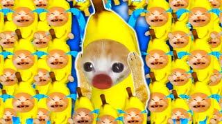 BANANA CAT - I'M HATE CRYING | Happy Cat Funny Cartoon 46